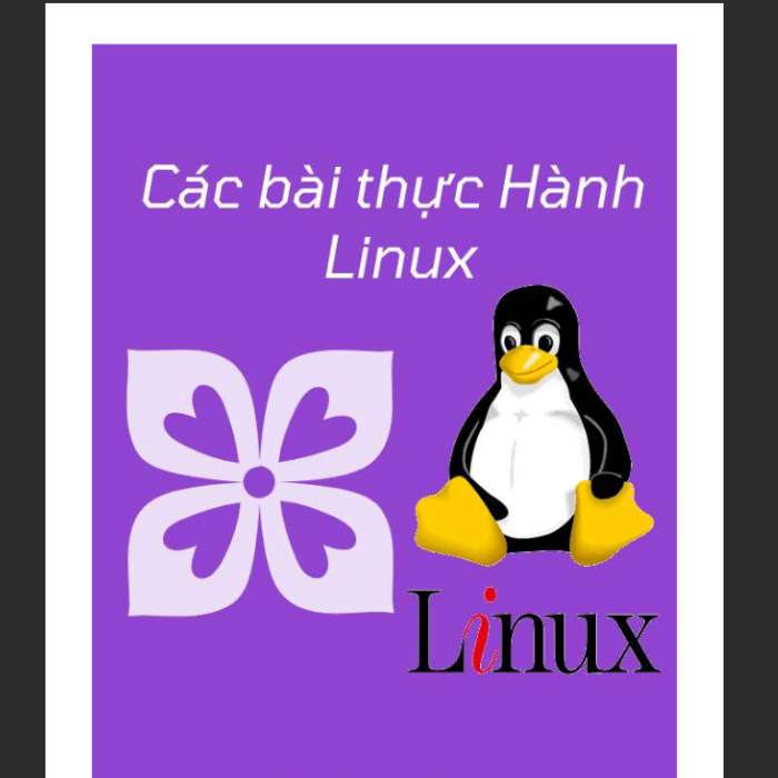 Ebook Hướng Dẫn Thực Hành Linux Toàn Tập: Từ Dòng Lệnh Đến Lập Trình Mạng